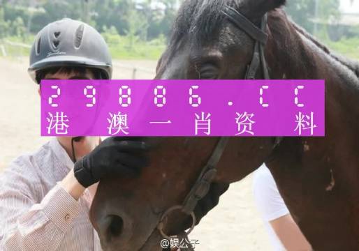 澳門必中一一肖一碼服務內(nèi)容,全面解答解釋落實_MT62.259