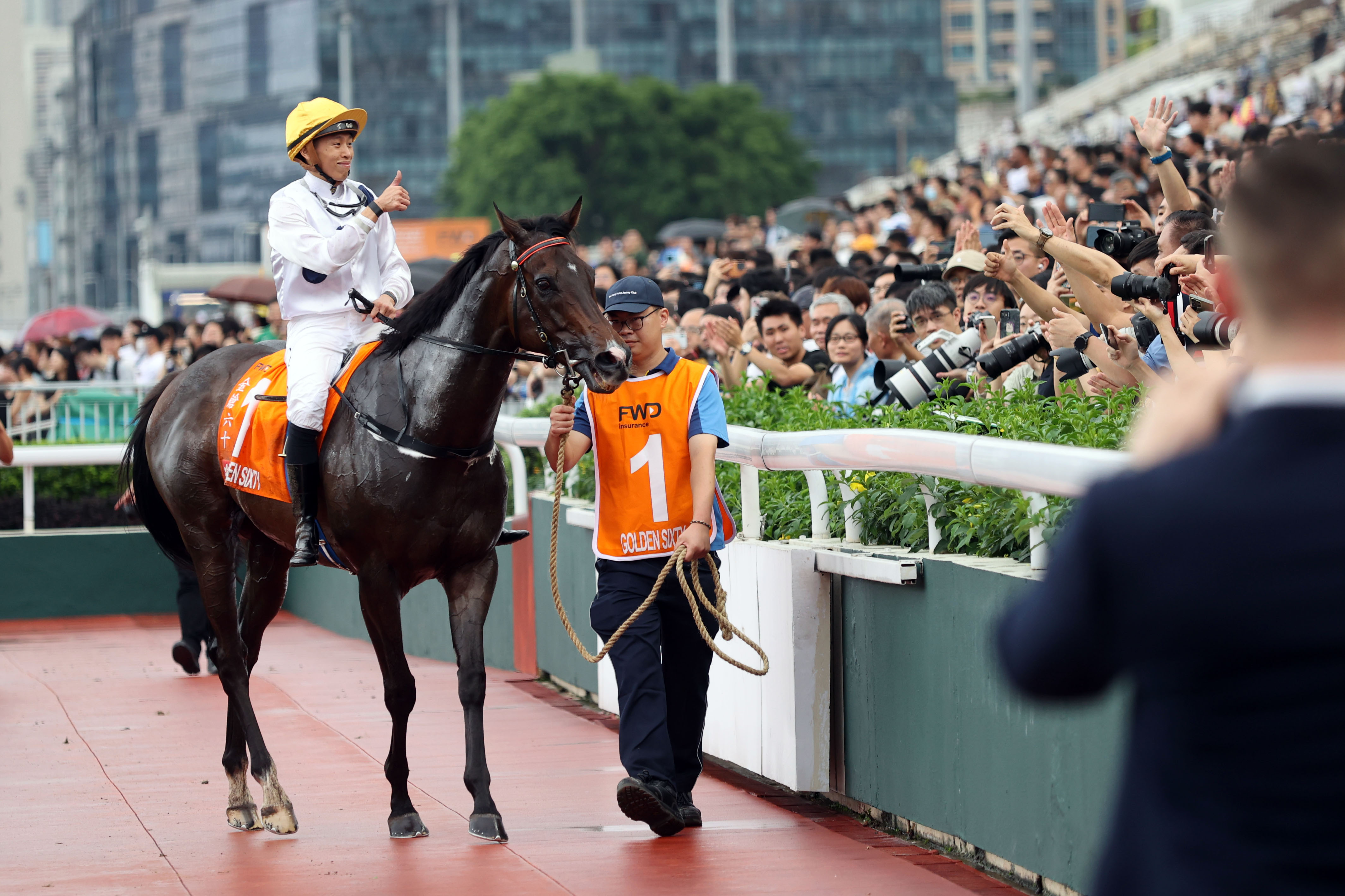 2024香港賽馬全年免費(fèi)資料,數(shù)據(jù)驅(qū)動(dòng)實(shí)施方案_工具版92.239