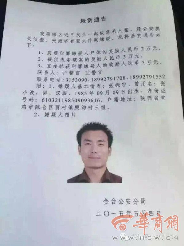 寶雞最新殺人事件，深度剖析犯罪背后的復(fù)雜問題