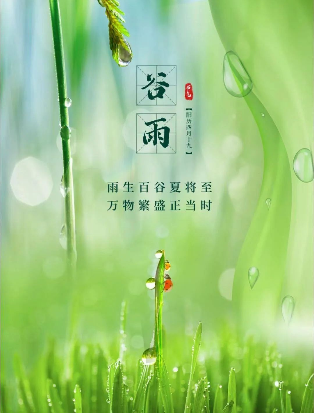 谷雨下載，科技與自然交融的盛宴