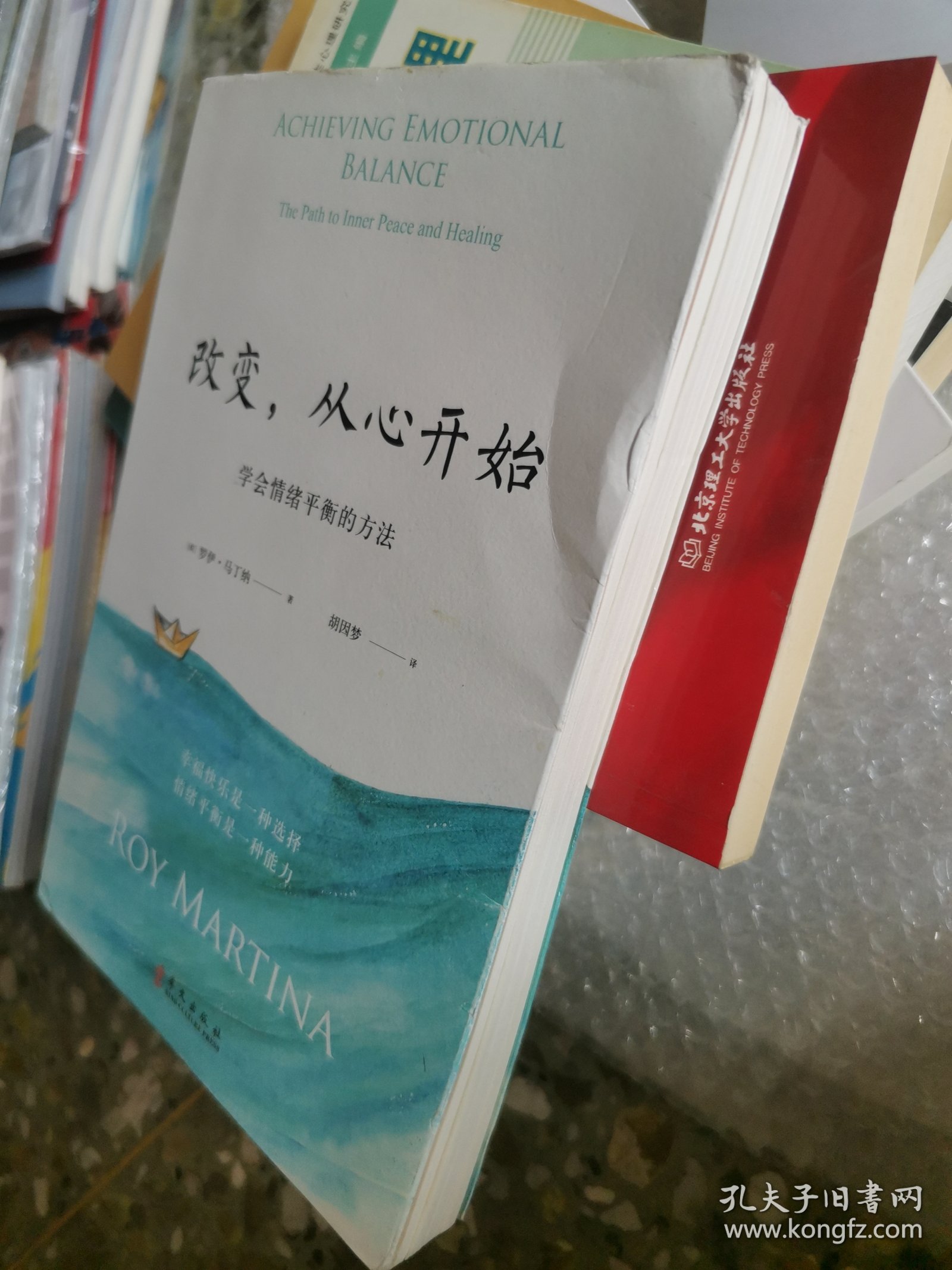 在線閱讀，魅力、挑戰(zhàn)與內(nèi)心的轉(zhuǎn)變