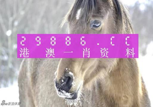 澳門碼一肖一碼100%精準(zhǔn)一｜詞語(yǔ)釋義解釋落實(shí)