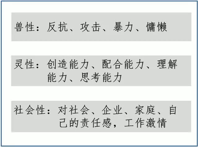 新澳門一碼中精準(zhǔn)一碼免費(fèi)中特｜考試釋義深度解讀與落實(shí)