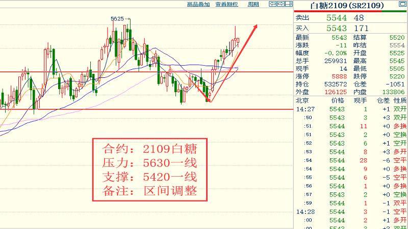 2024澳門特馬今晚開獎113期,全面解答解釋落實_L版23.202