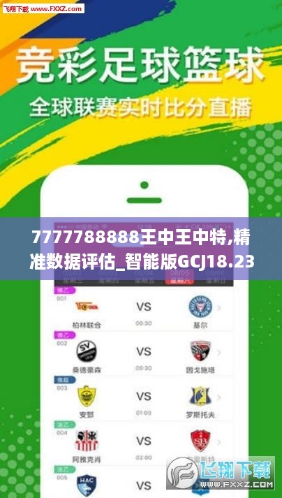 777778888王中王最新,全面解答解釋落實_標配版24.697