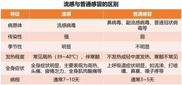 最新感冒動態(tài)與應(yīng)對策略揭秘