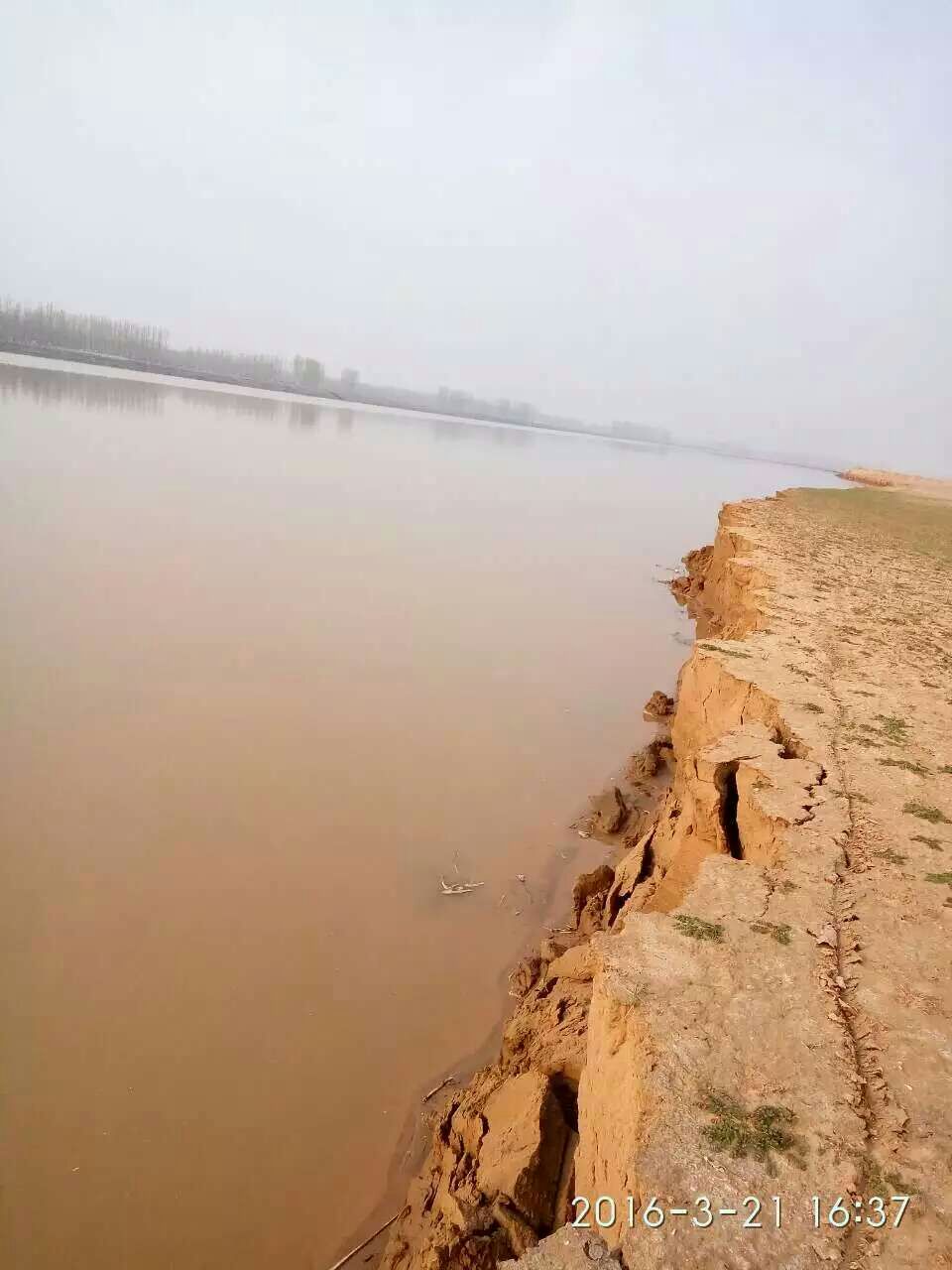 黃河灘遷建最新動態(tài)，重塑生態(tài)，共筑未來發(fā)展之夢