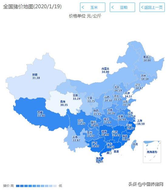 海南豬價(jià)最新動態(tài)，市場走勢分析與預(yù)測