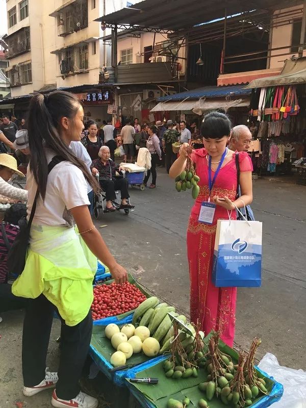 西雙版納傣族自治州市城市社會(huì)經(jīng)濟(jì)調(diào)查隊(duì)發(fā)布最新新聞，洞察城市社會(huì)經(jīng)濟(jì)趨勢(shì)