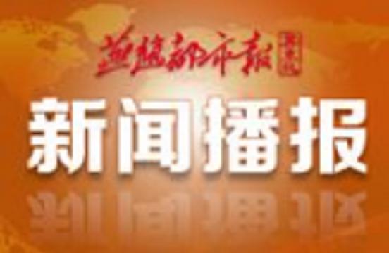 石家莊最新撞人逃逸事件深度解析與探討