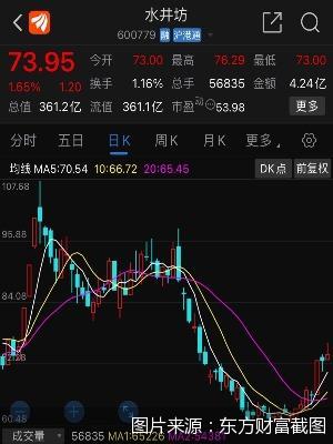 水井坊股票最新深度解析與動態(tài)概覽